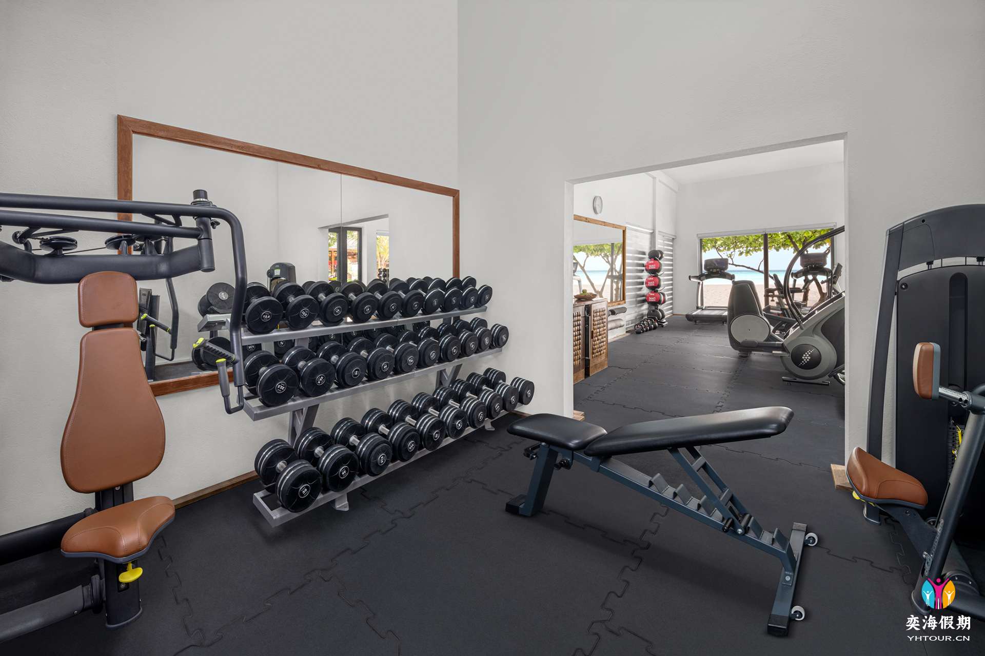 GYM.jpg