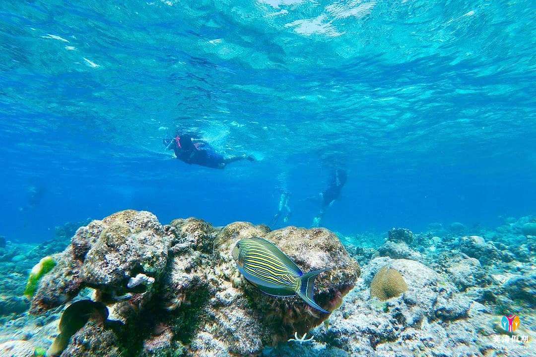 Snorkelling1.jpg