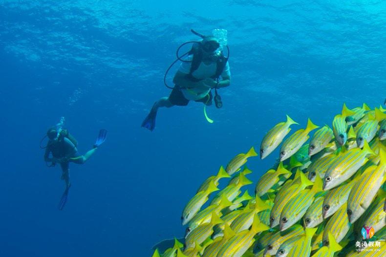 Scuba Diving.jpg