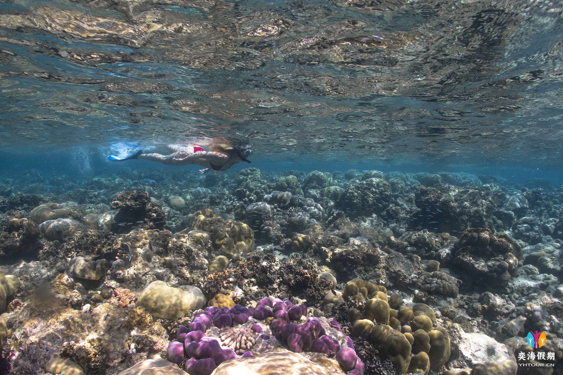 Snorkeling(2).jpg