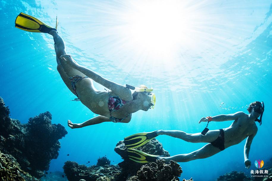 Ellaidhoo_Excursions_Diving_1090X610.jpg