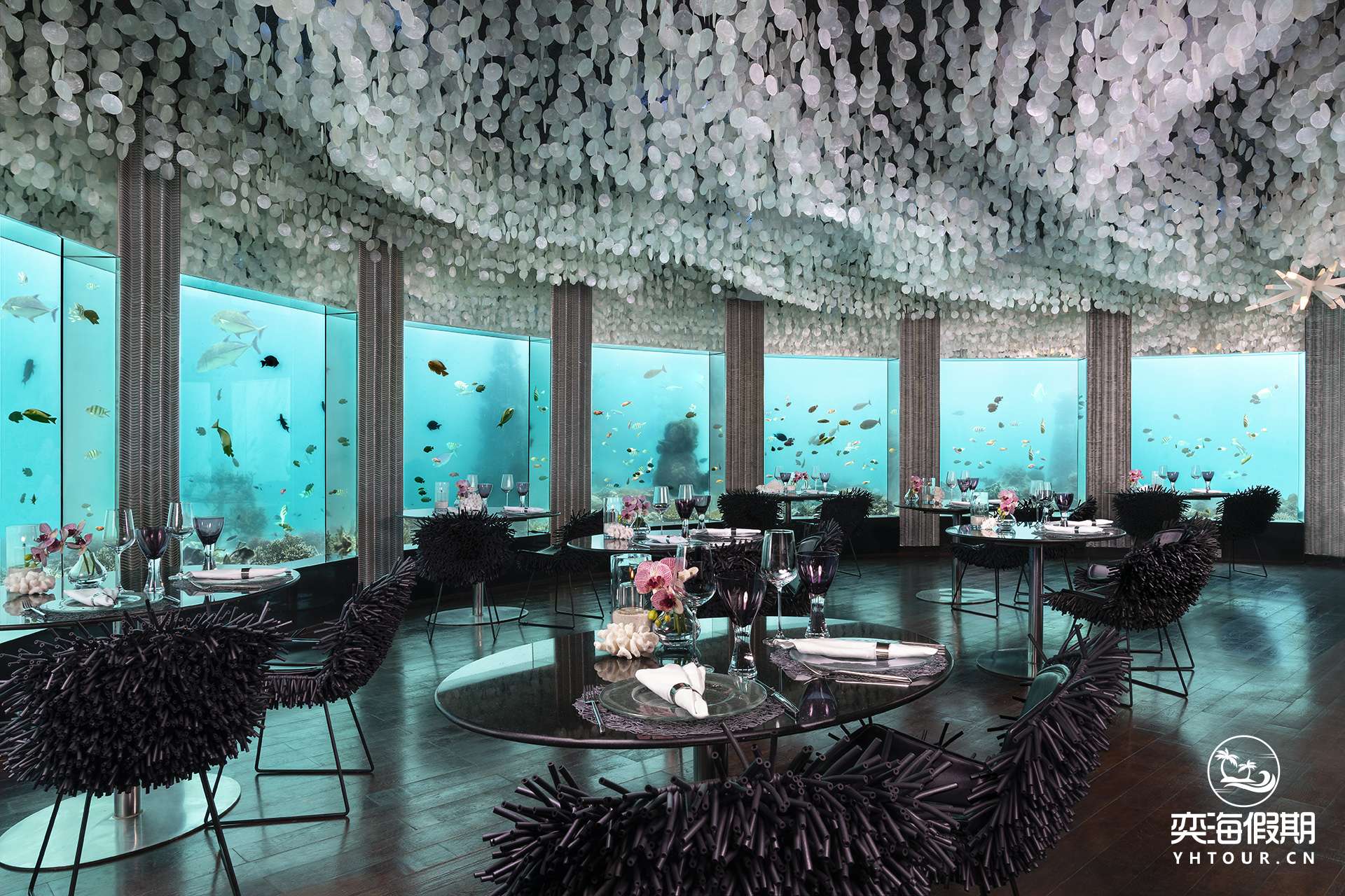 Subsix underwater restaurant_Niyama_Maldives.jpg