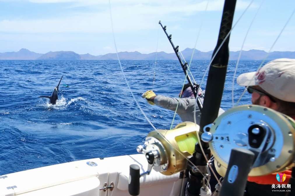 深海捕鱼.jpg
