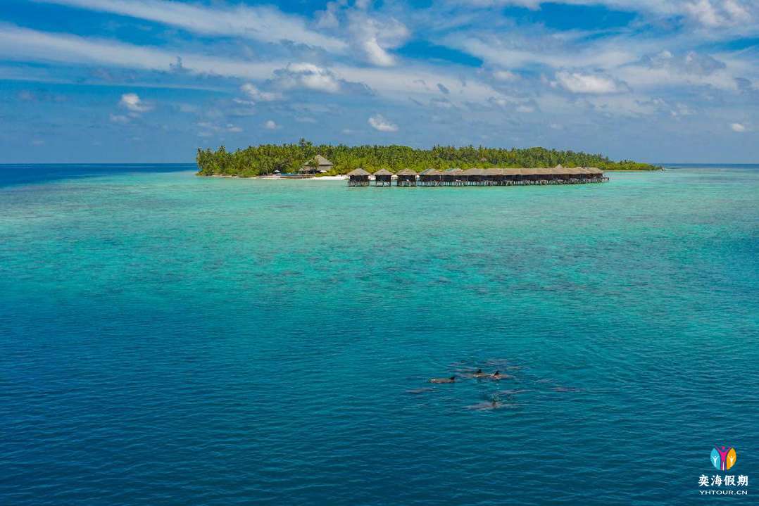 Filitheyo Island Resort23.jpg