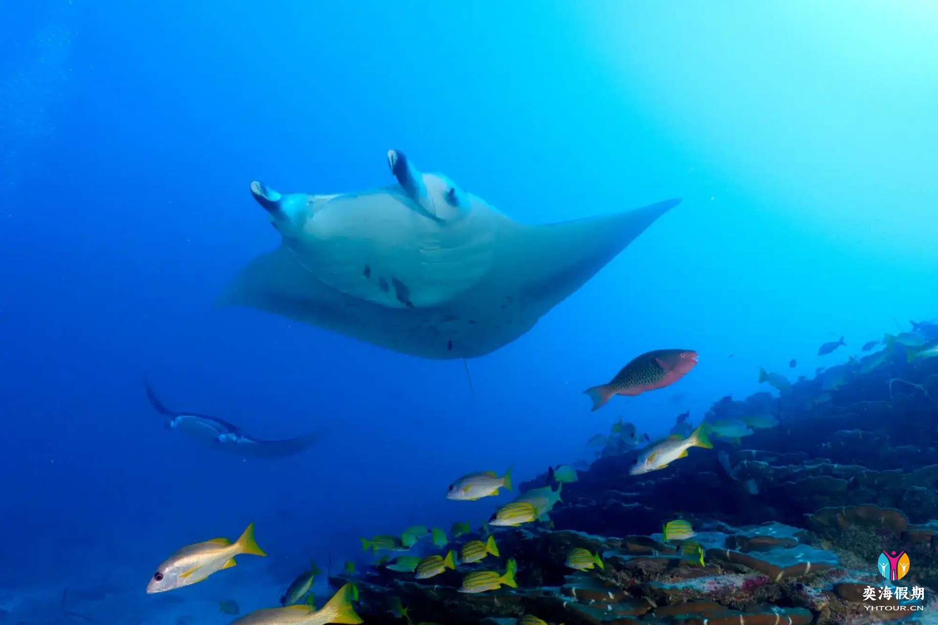 Snorkeling.jpg