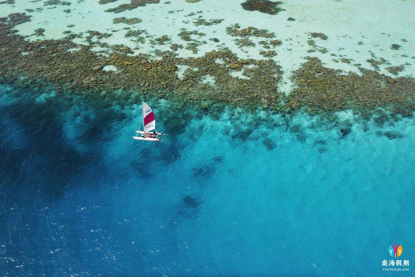 catamaran.jpg