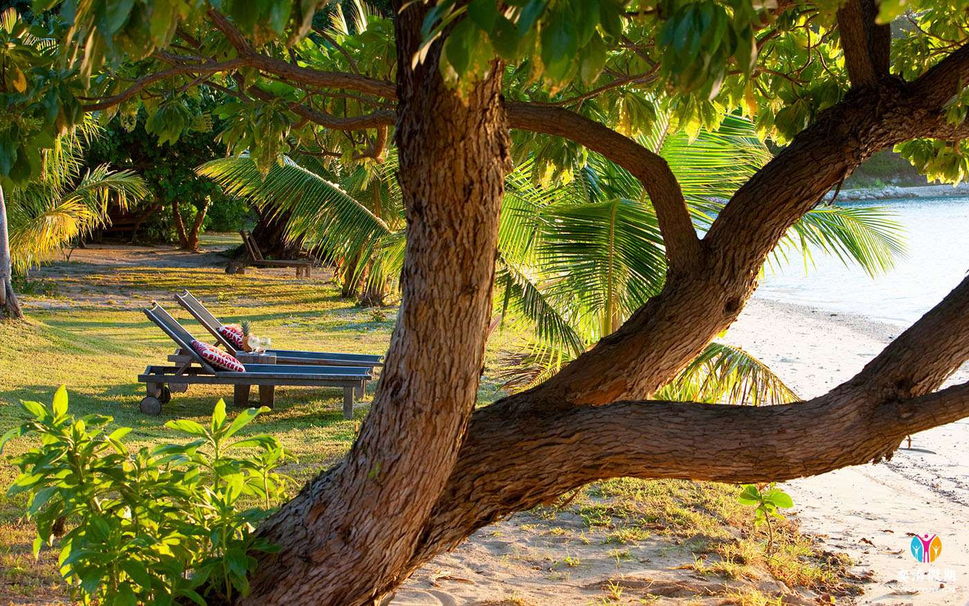 Garden Beachfront Bure_0021.jpg