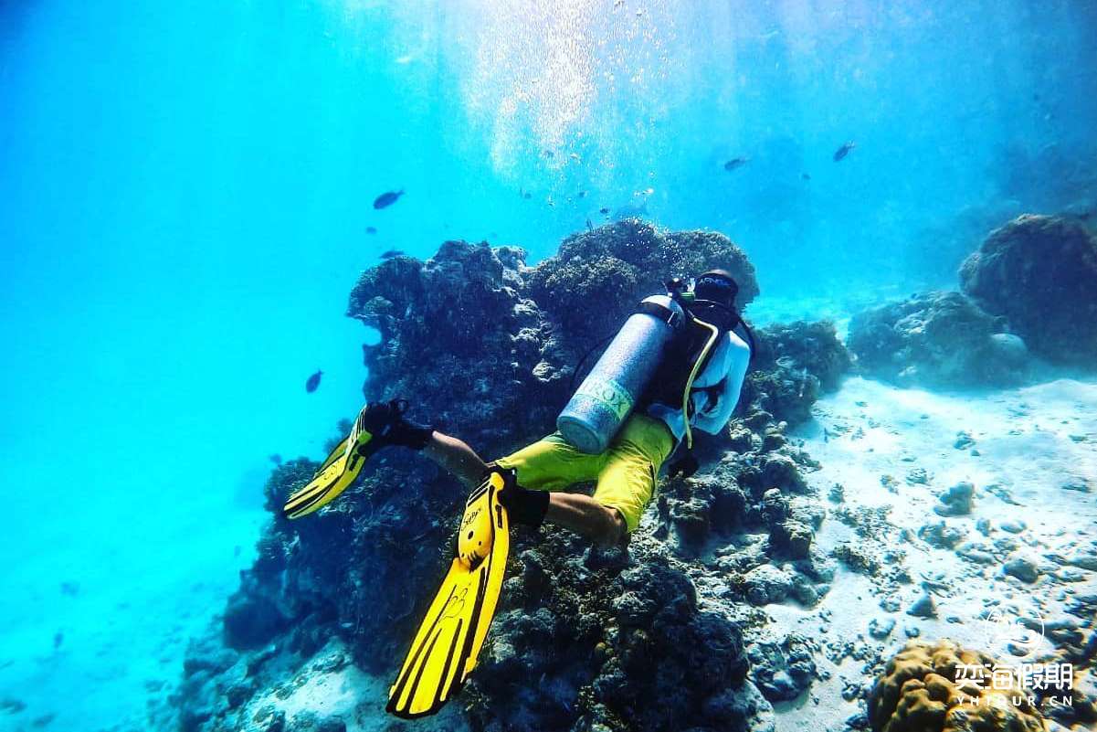 diving (2).jpg