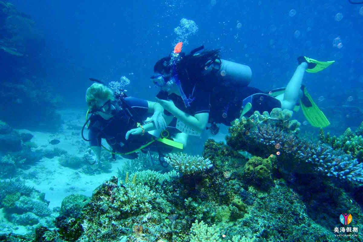 Matamanoa-Island-Resort-Diving.jpg