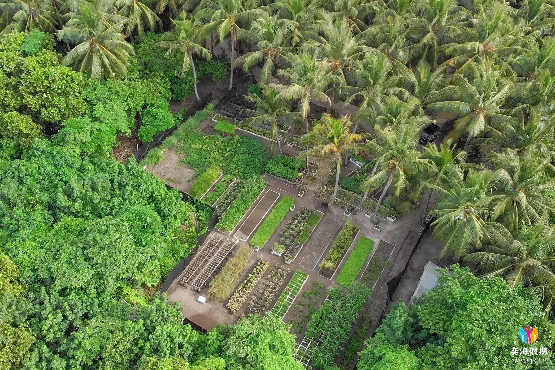 Organic Farm Aerial.jpg