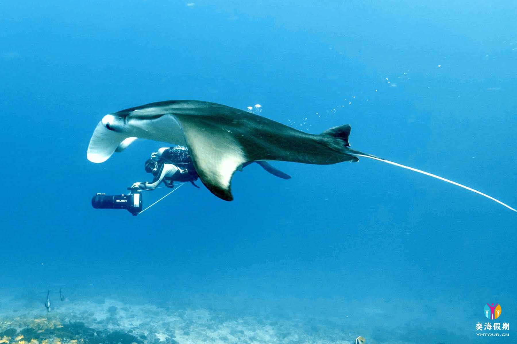 water sports (1).jpg