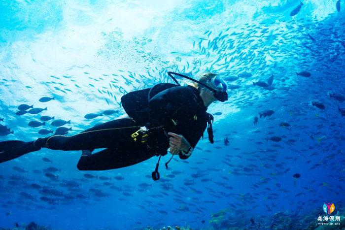 DIVING.jpg