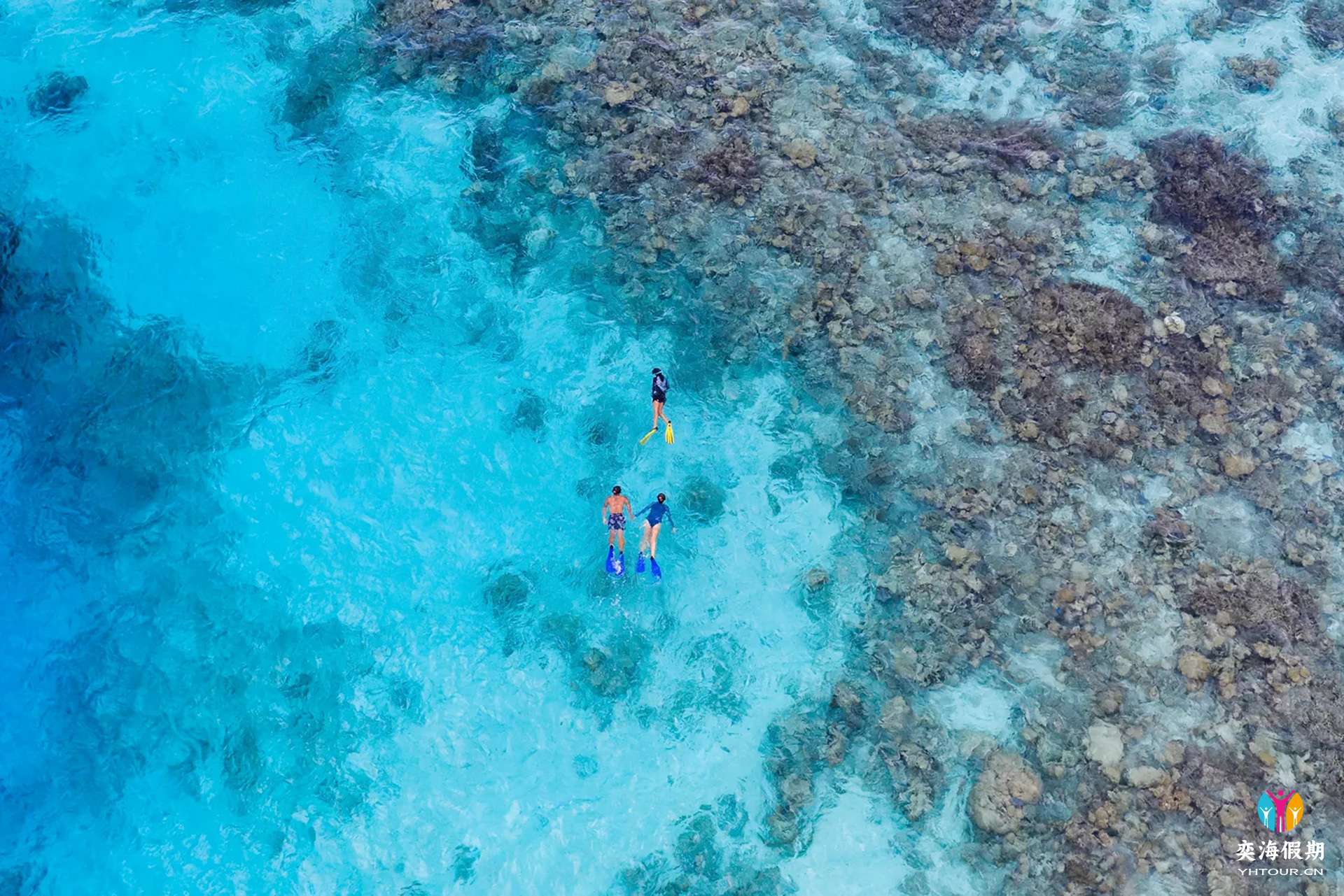 snorkelling.webp.jpg