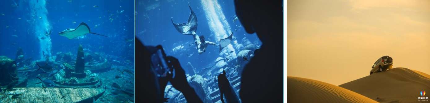 亚特兰蒂斯水族馆.jpg