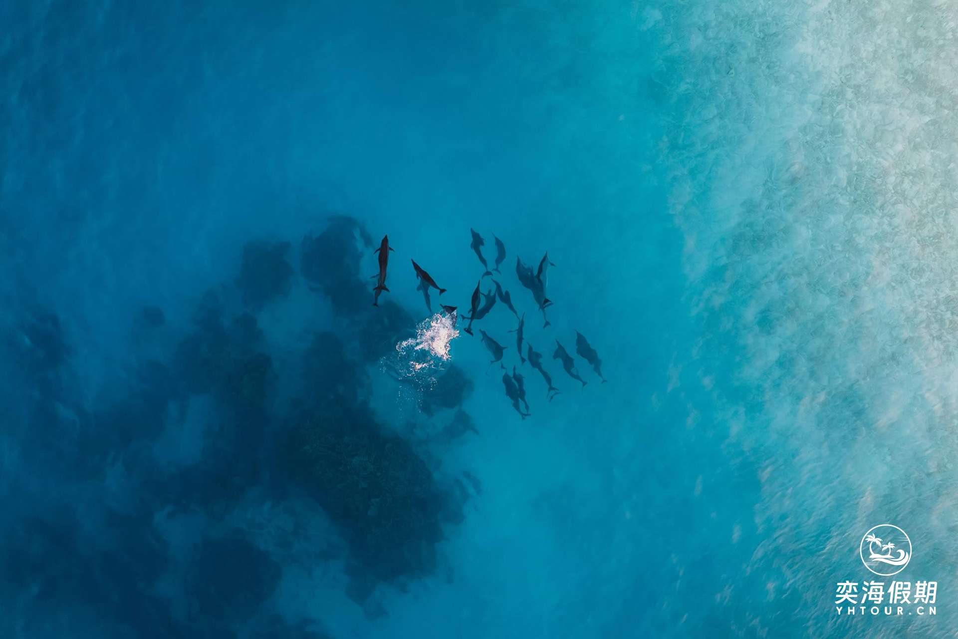 diving.jpg