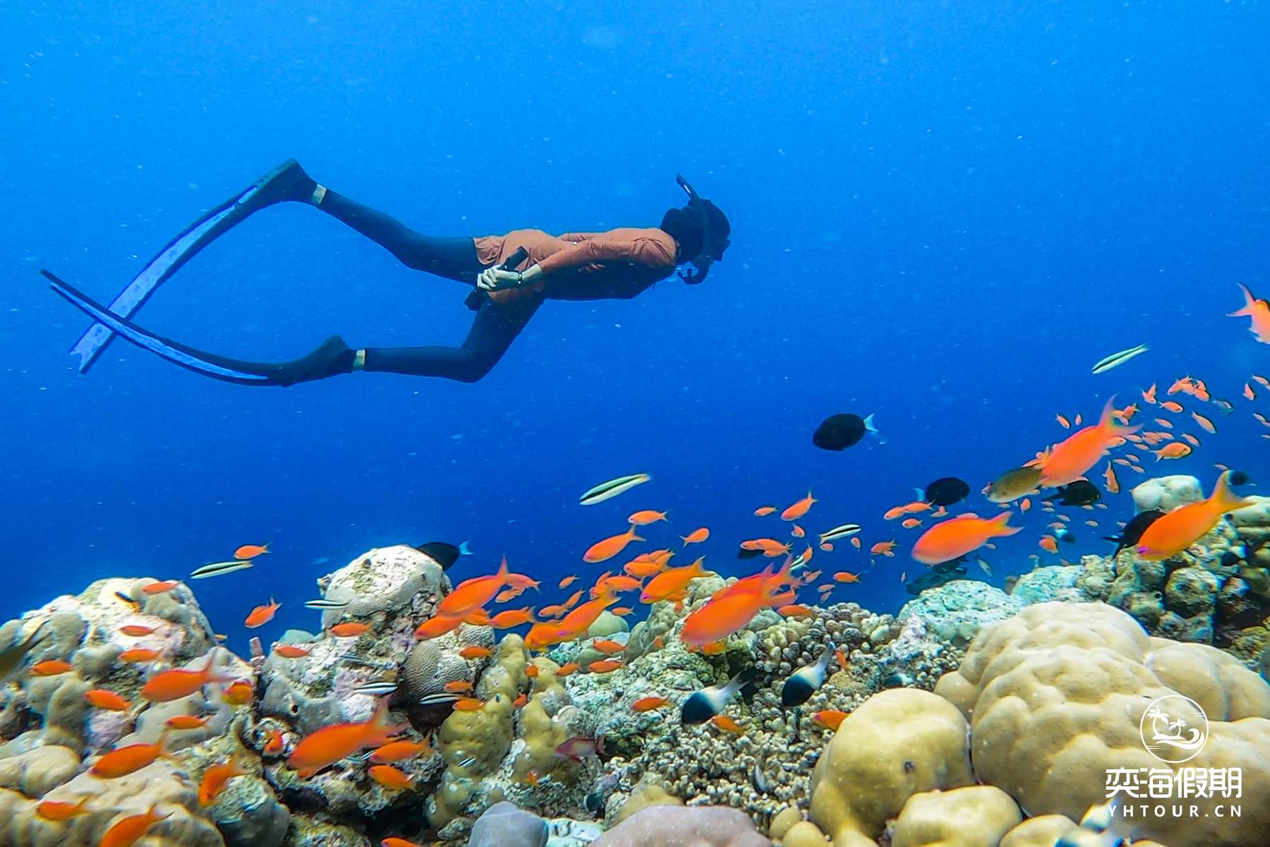 Snorkelling.jpg
