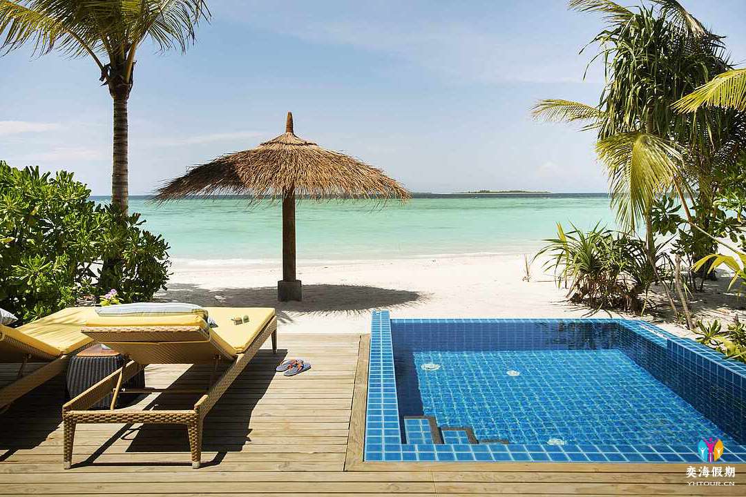 Beach Pool Bungalow.jpg