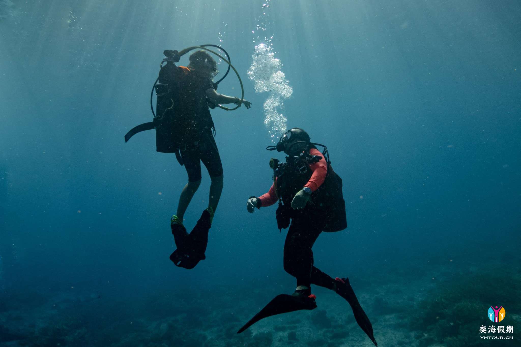 diving.jpg