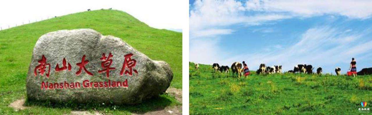 南山牧场.jpg
