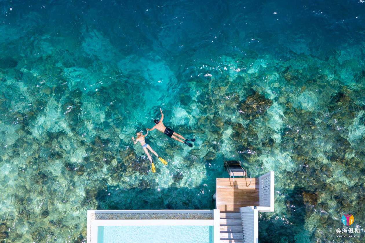 gallery-snorkelling.jpg