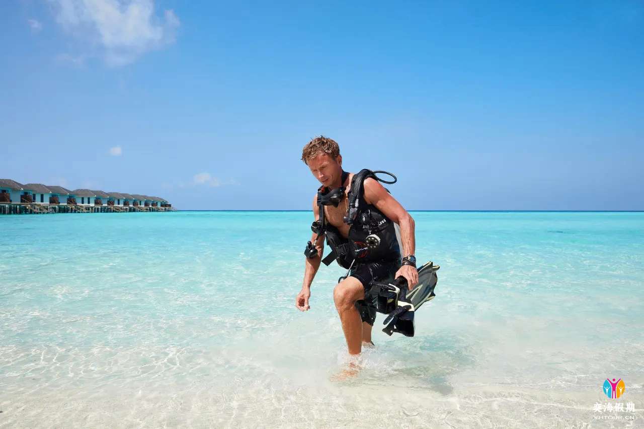 diving.jpg