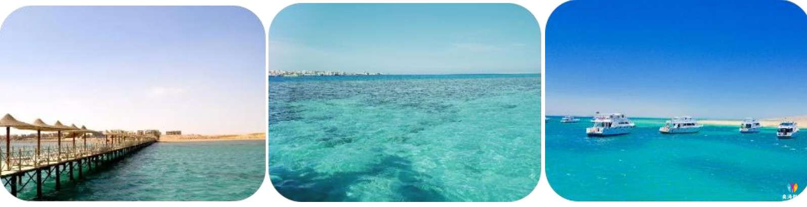红海4.jpg