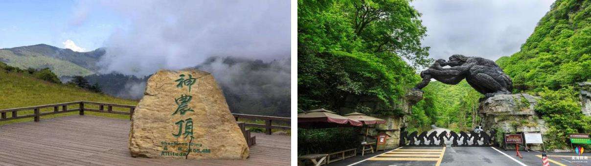神农顶风景区.jpg