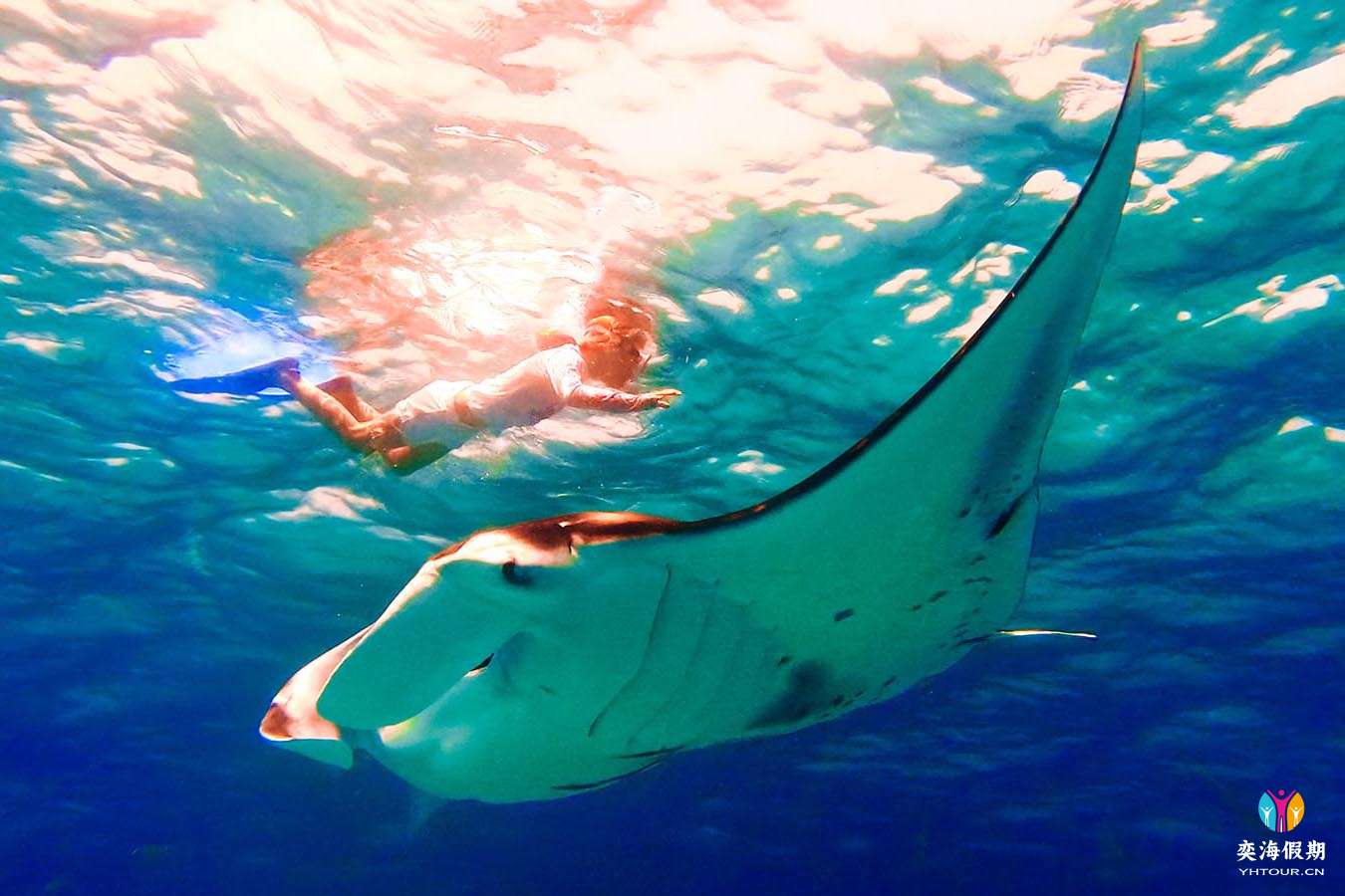 snorkelling.jpg
