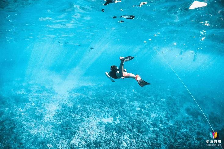Snorkelling.webp.jpg