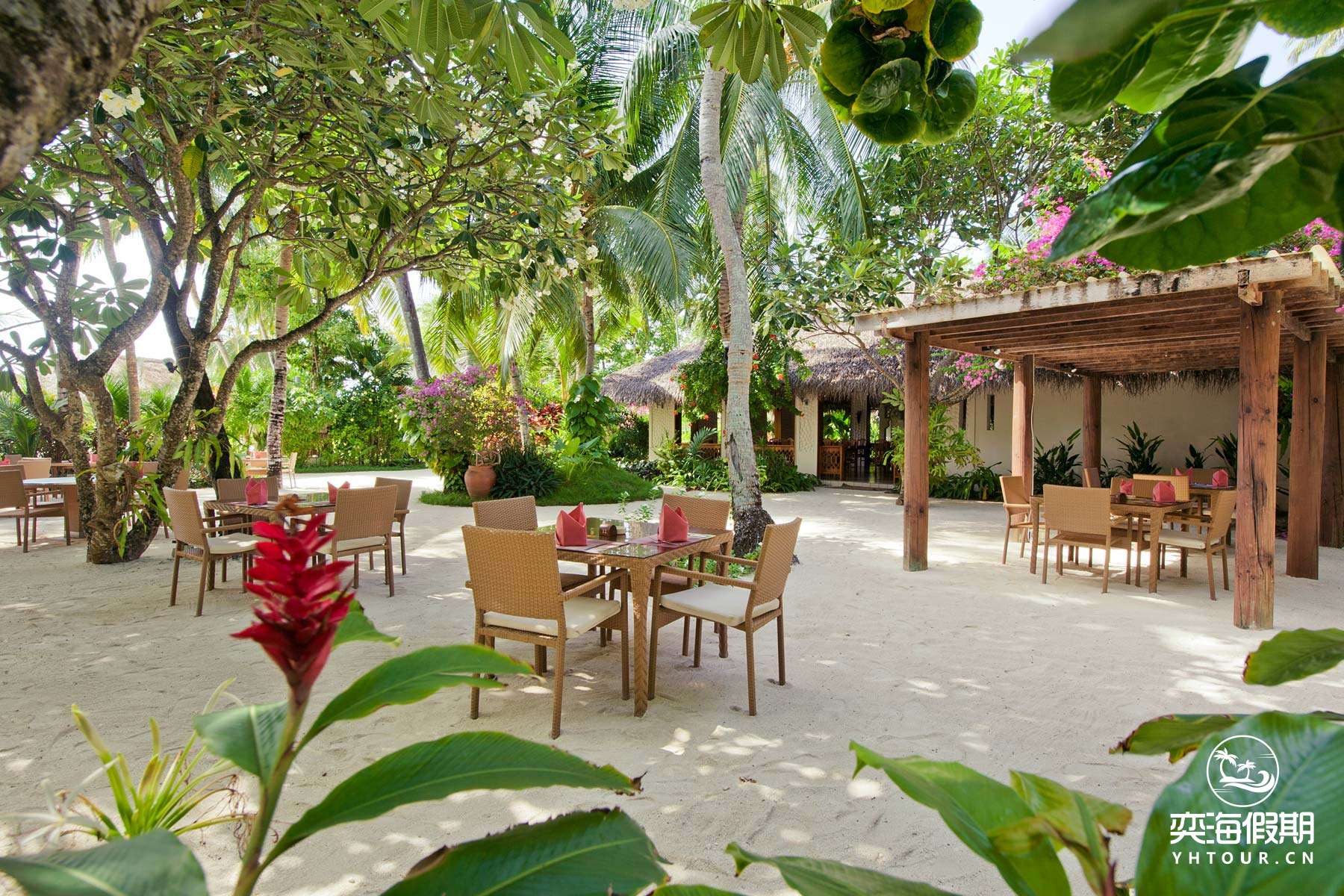 Island Coffee Shop.jpg