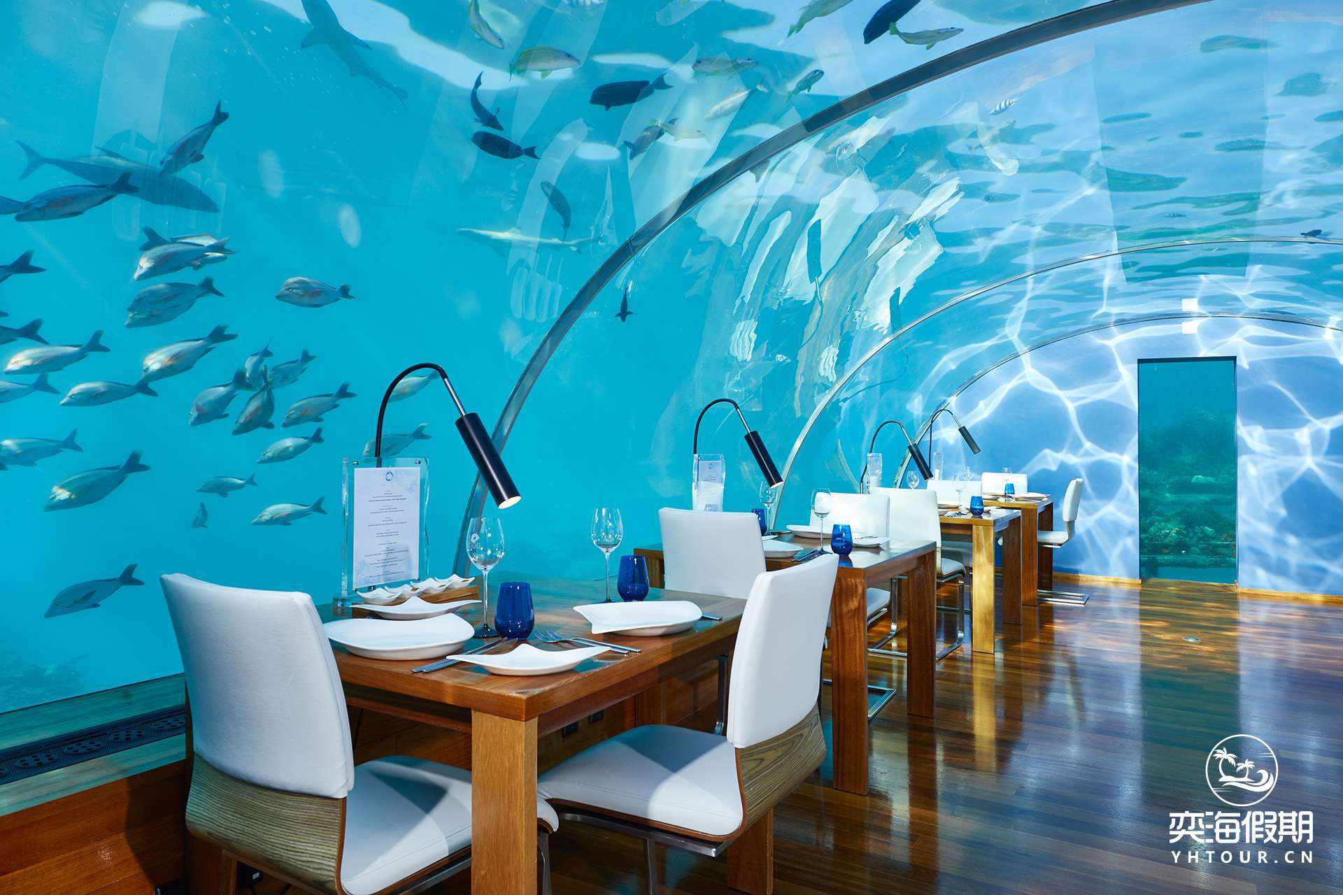 CONRAD MALDIVES RANGALI ISLAND_F&B_Ithaa Undersea Restaurant_Hero_credit Justin Nicholas_hi-res (3).jpg