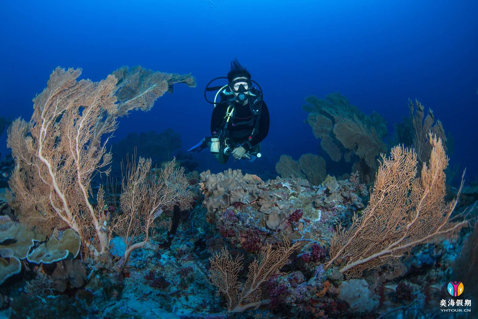 Diver Credit S.Peks.jpg