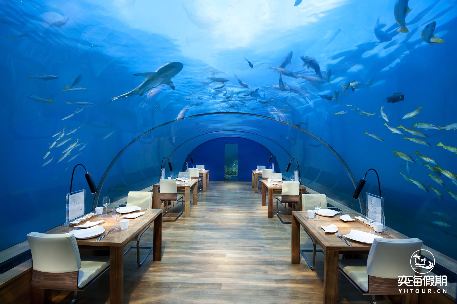 Conrad Maldives_Ithaa Undersea Restaurant (3).jpg