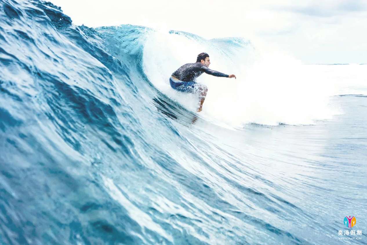 SURFING.webp.jpg