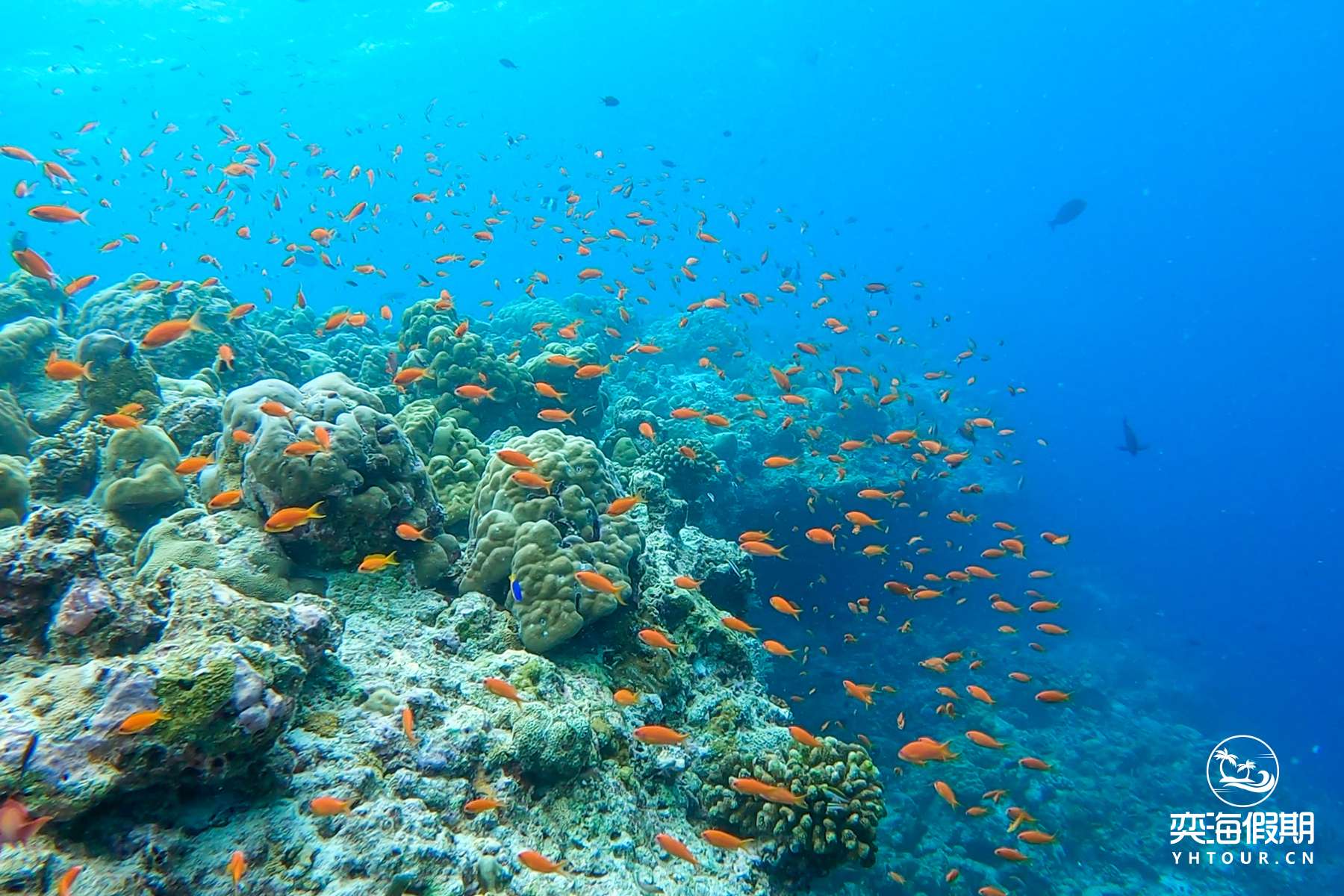 Snorkelling2.jpg