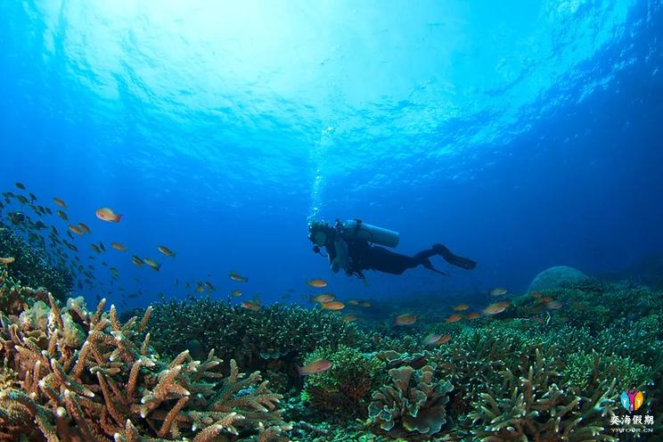 Meridis Dive School.webp.jpg