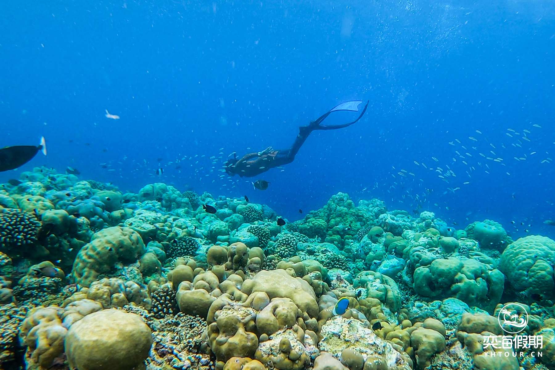Snorkelling3.jpg