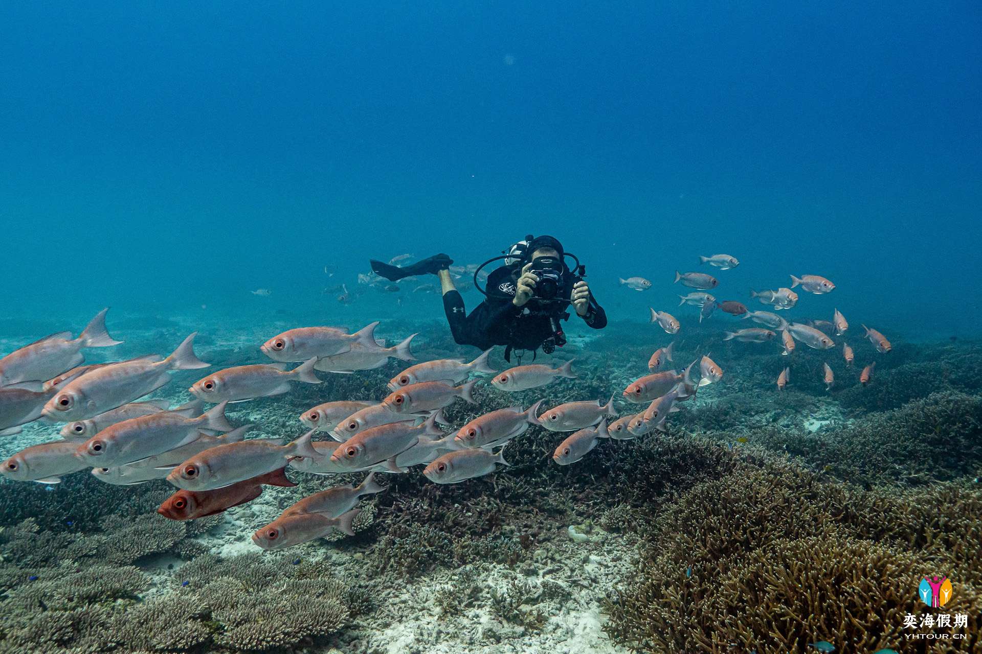 DIVING.jpg