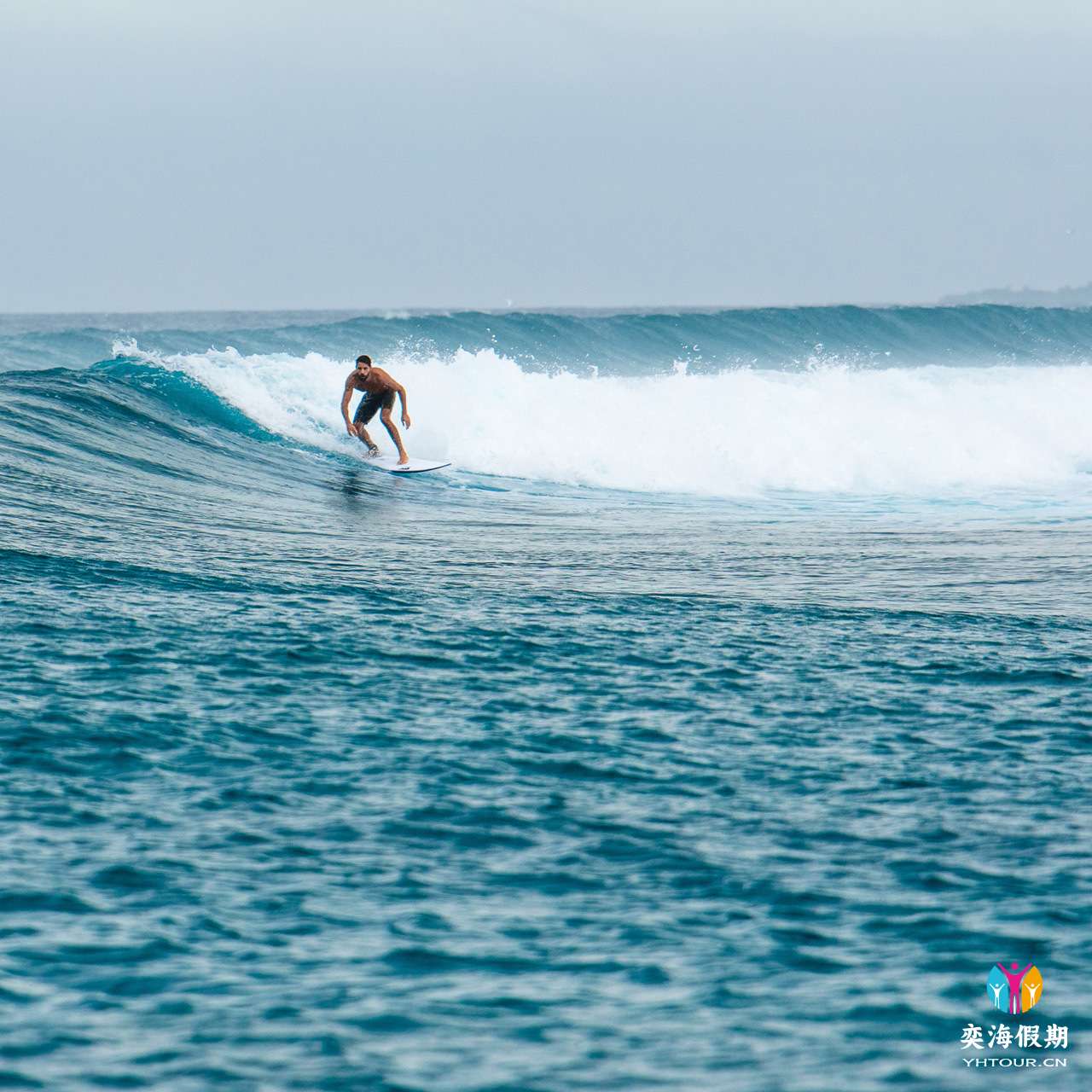 Surfing.jpg