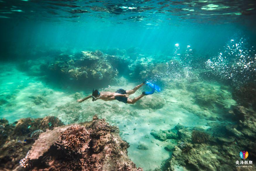 snorkeling.jpg