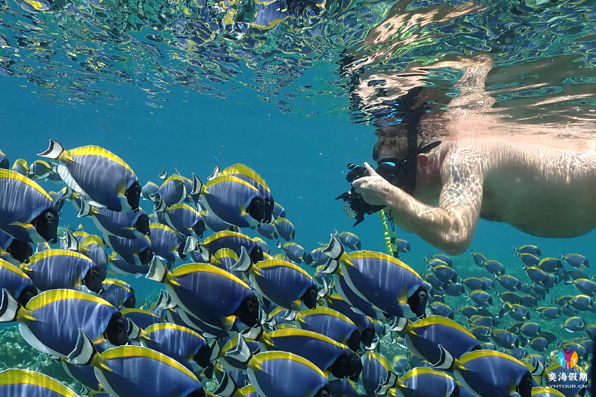 Snorkeling.jpg