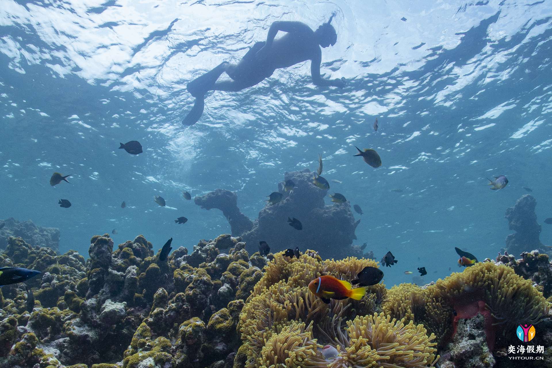 Snorkeling(4).jpg