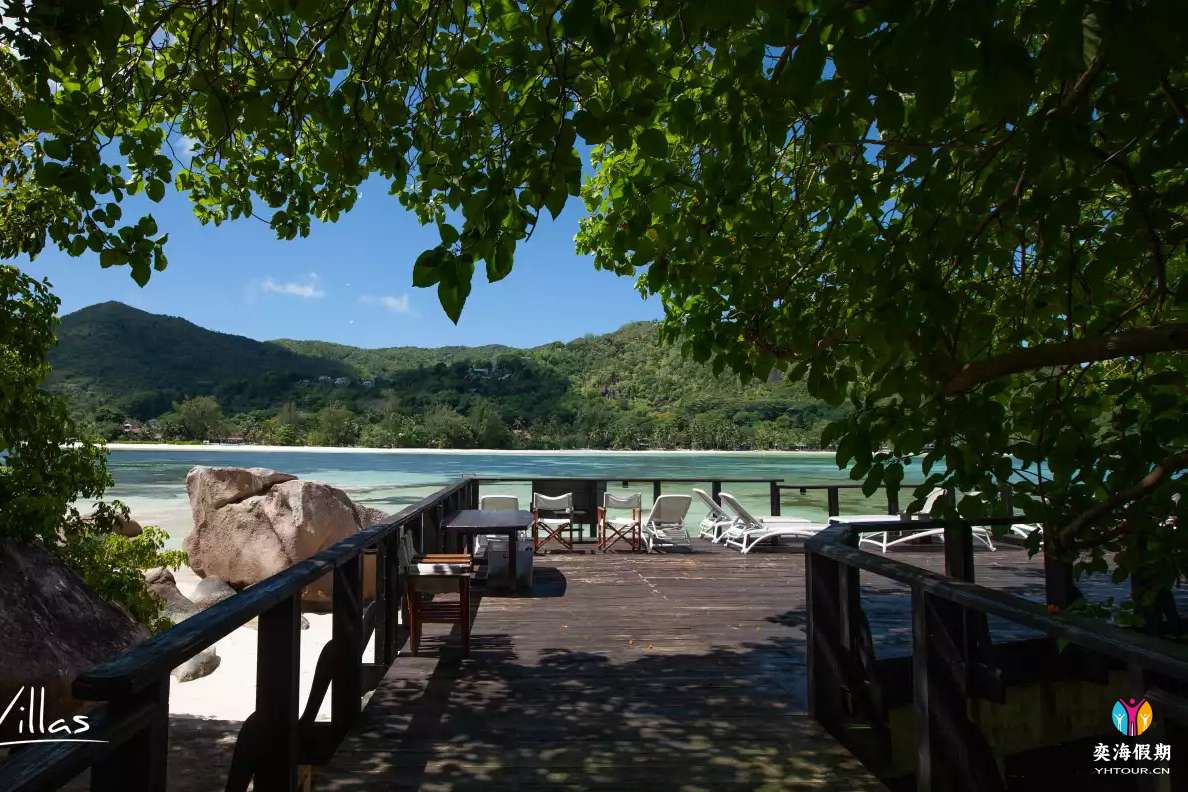 chauve-souris-relais-a-5887.webp.jpg