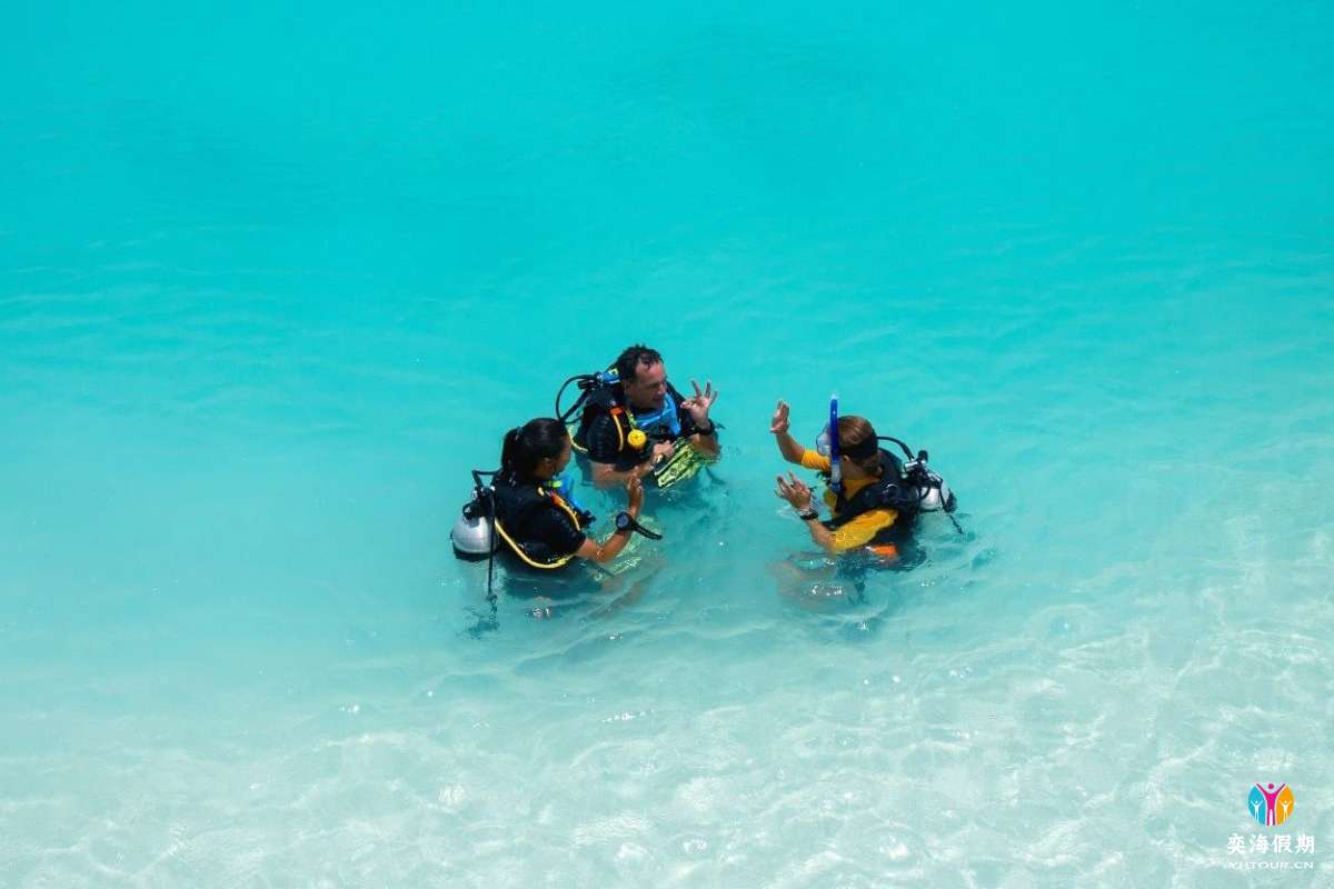 diving.jpg
