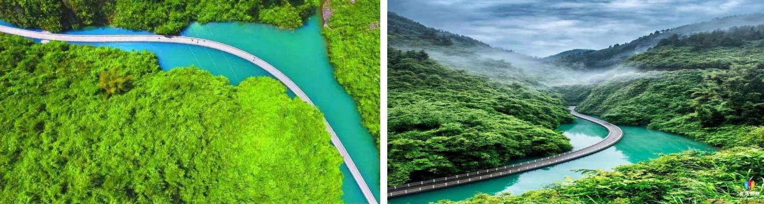 网红浮桥.jpg