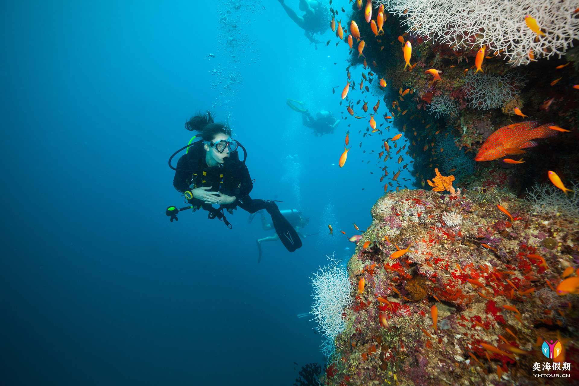 JA Manafaru - Diving.1.jpg