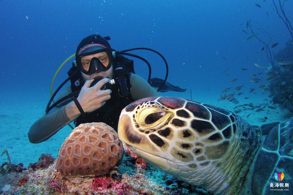 diving.jpg