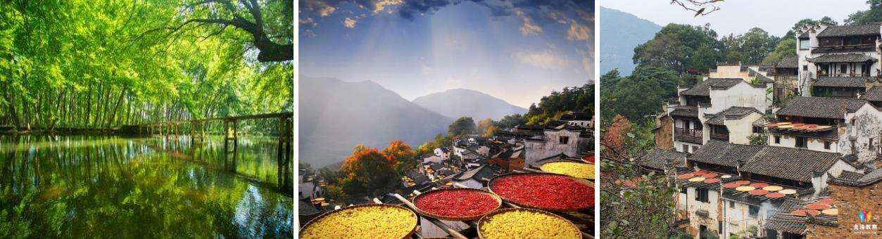 篁岭.jpg