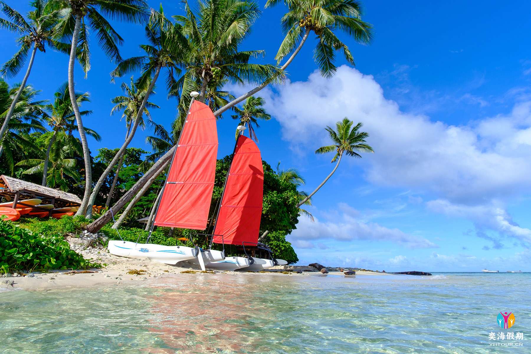 Hobie Cat Sailing.jpg