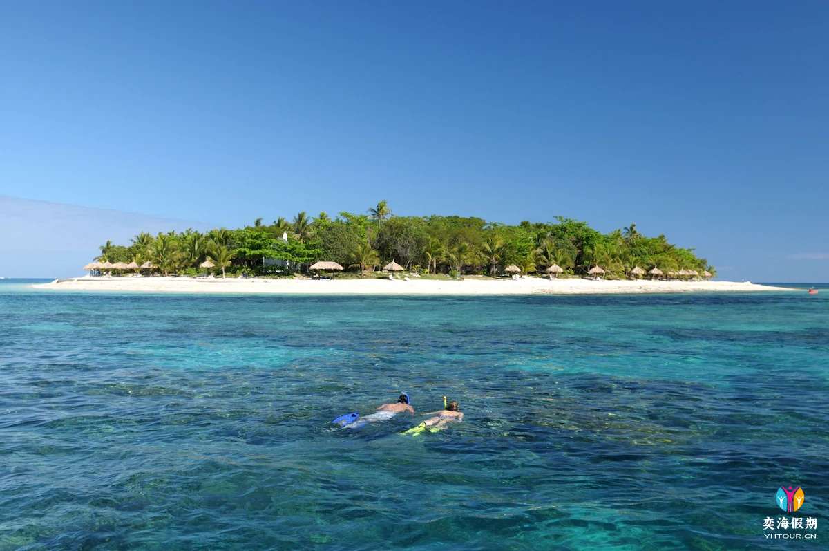 snorkelling.webp.jpg